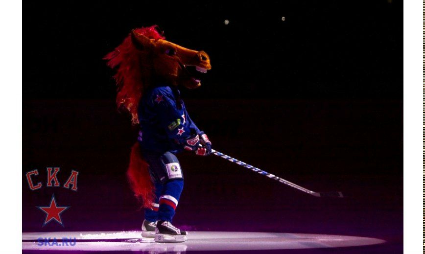 Ксения Стебловская | Санкт-Петербург