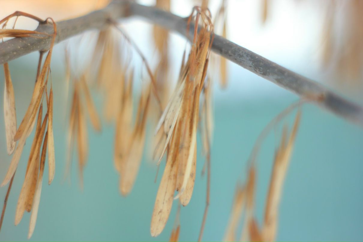 Сергей Абрамов ॐ Abram ॐ | Ростов