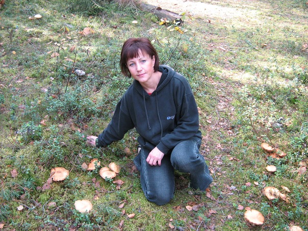 №115, Аля Александрова №115, Аля Александрова