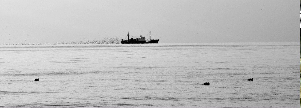 Лилия Кондрацкая | Севастополь