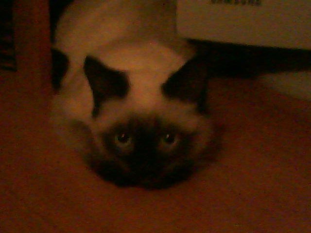 Мария Ткачёва | Казань