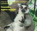 Фотография Василий Рюмшин
