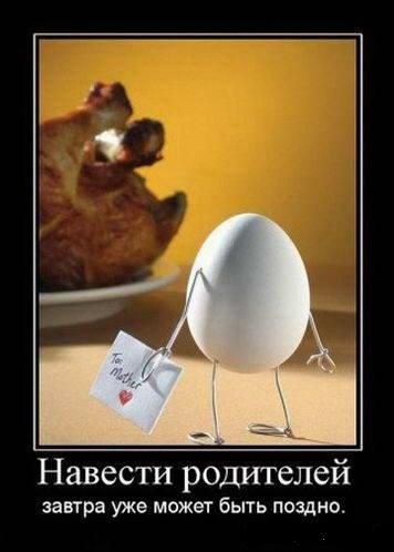 Колька Москот | Балашиха