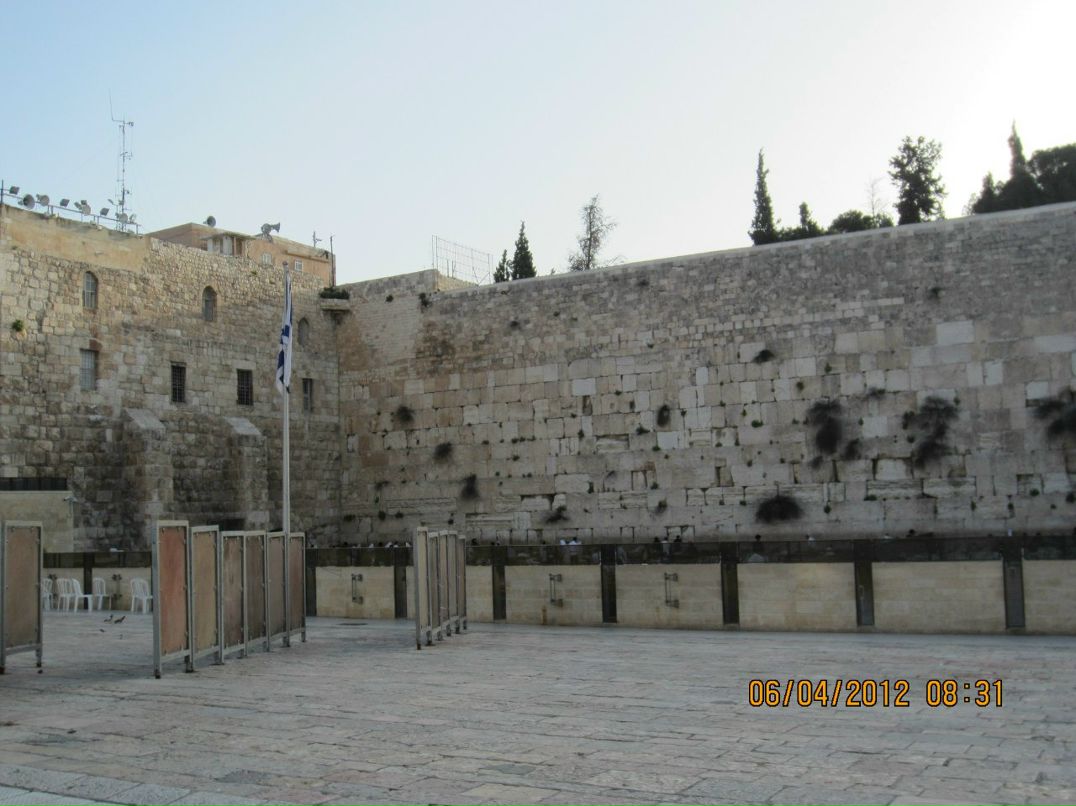 Алёна Харина | Вологда