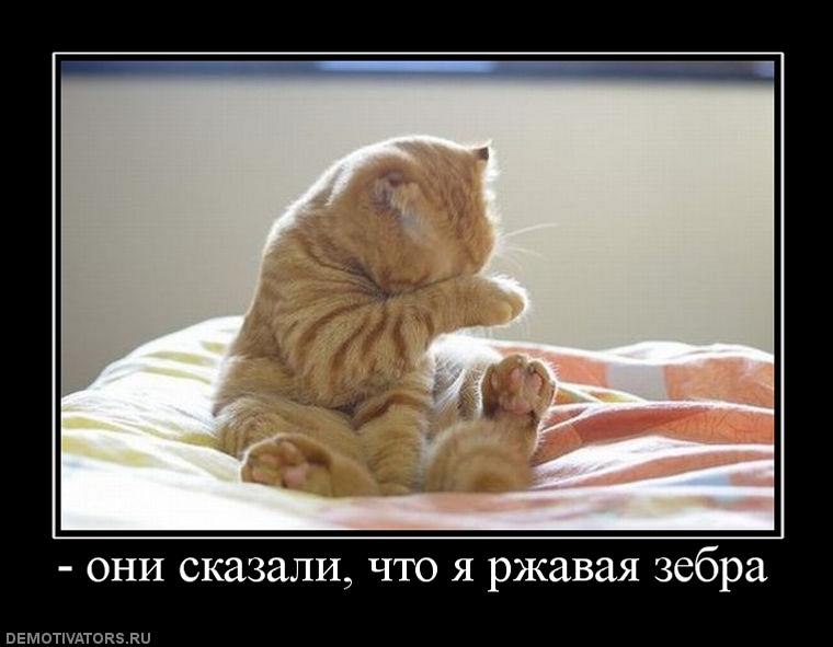 Саша Дюдин PiliGriM | Ростов-на-Дону