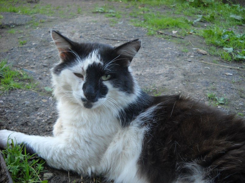 Наталья Андреева | Смоленск