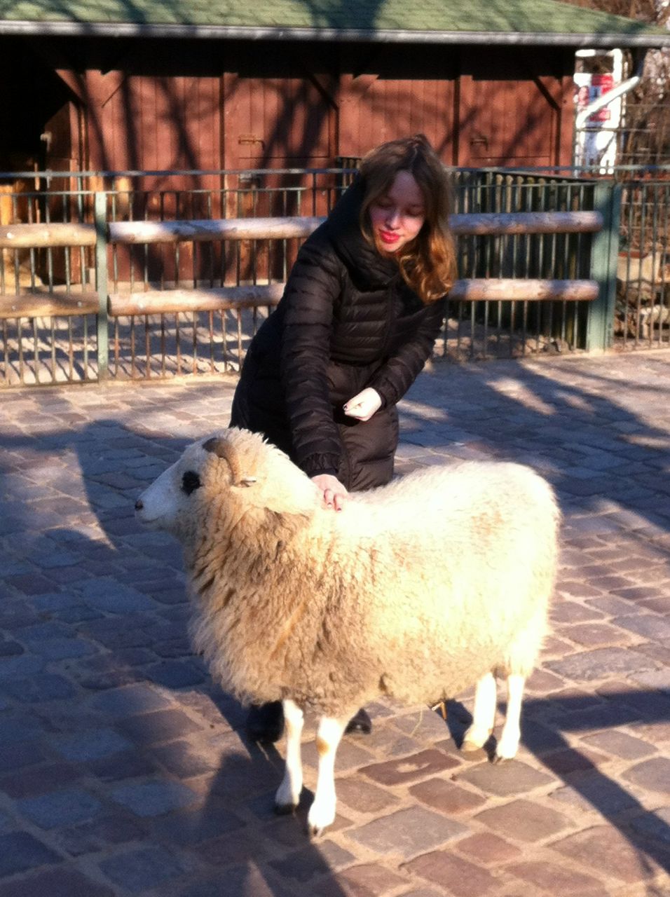 Дария Волынская | 