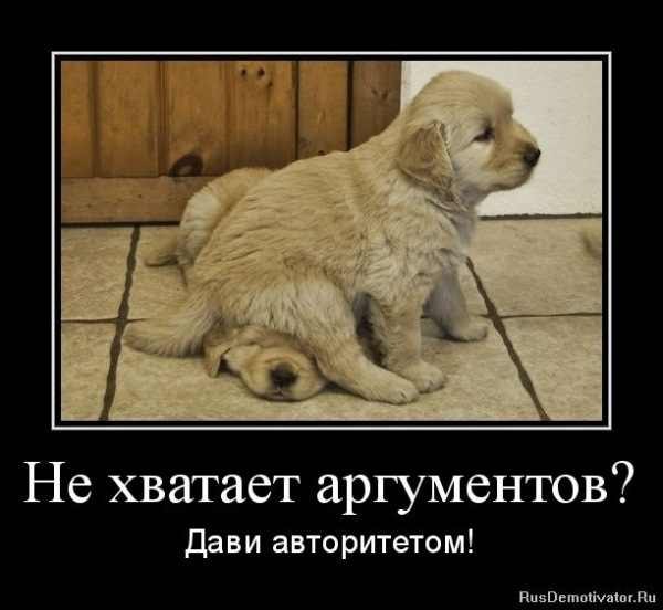 Анна Шустак | 