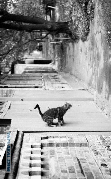 Sergei Rokks Rokks / Jazz | Punta Cana