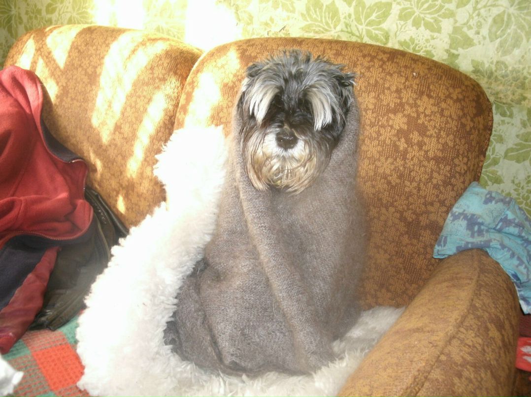 Juliay Reitano | Красноярск