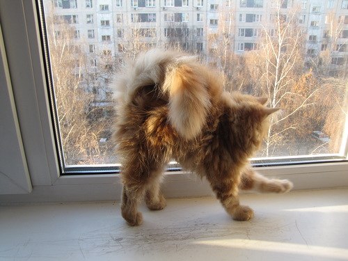 Сергей Иванов | Краснодар