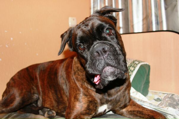 №54, Руслан Сажин, 37 лет, Подольск №54, Руслан Сажин, 37 лет, Подольск