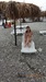 Ирина Царёва фотография #25