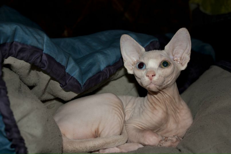 Наталья Мацковская | Вологда