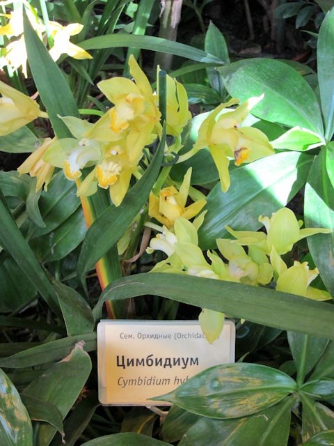 Анастасия Цветкова | Москва