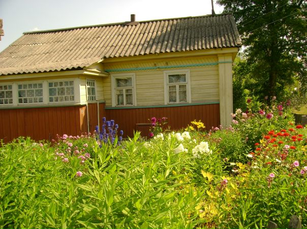 №1, Лёва Задов №1, Лёва Задов