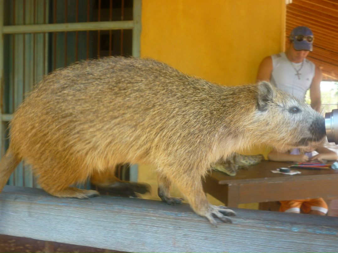 Мария Воеводина | Москва