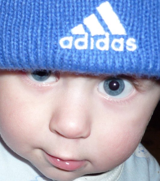 Саня Шмель [ADIOS] | Степовое / Орджоникидзе