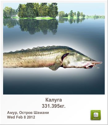 Наталья Иващенко | 