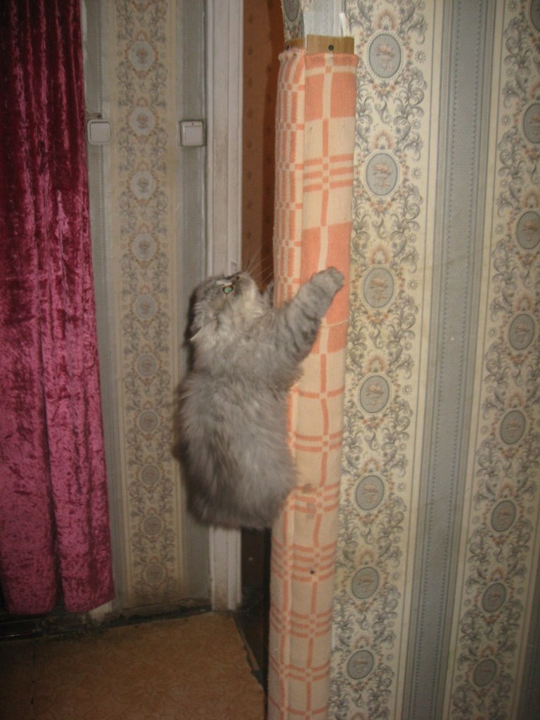 Александр Секисов | Санкт-Петербург