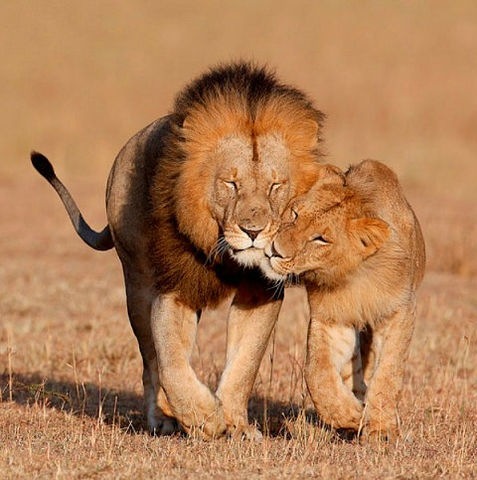 №100, Галина Файрушина, 44 года, Москва №100, Галина Файрушина, 44 года, Москва