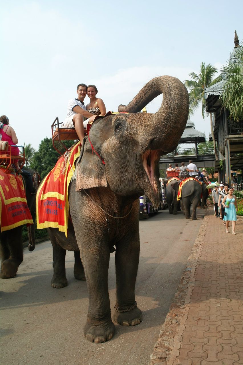 Ксения Гибадуллина Алексеевна | Екатеринбург