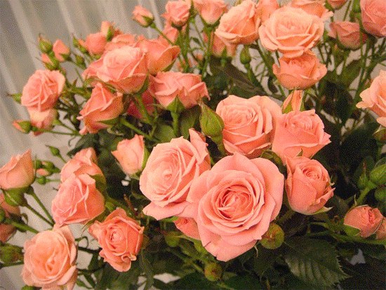 №7, Галина Разумова №7, Галина Разумова