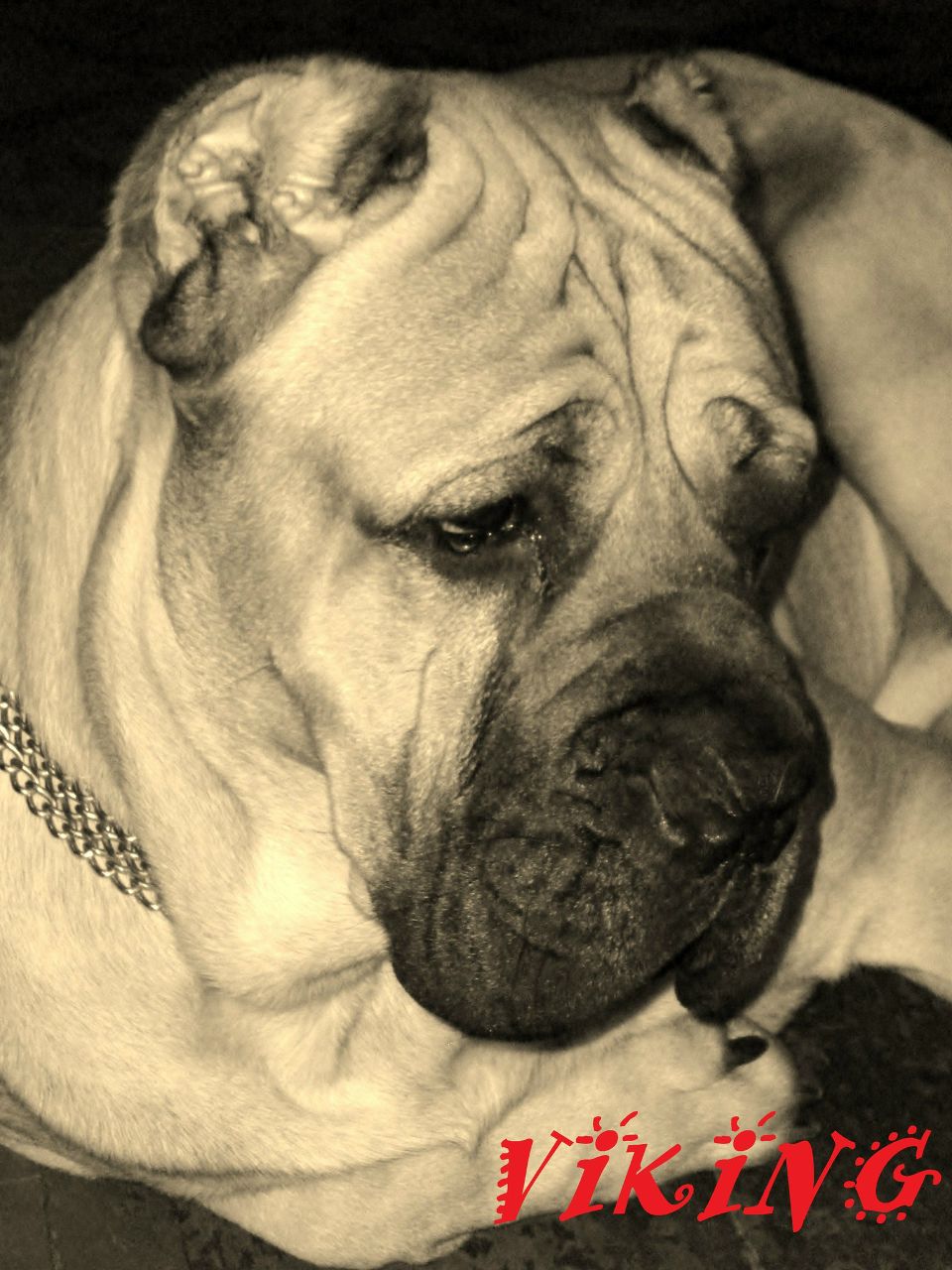 Катюша Шаруненко | Санкт-Петербург