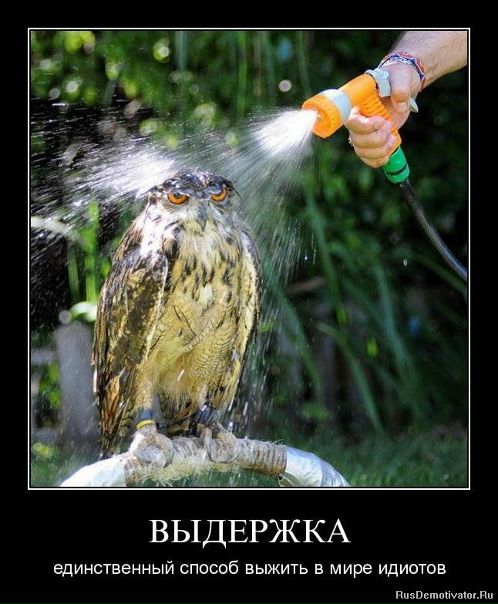 №22, Ирина Мекко, 36 лет, Москва №22, Ирина Мекко, 36 лет, Москва