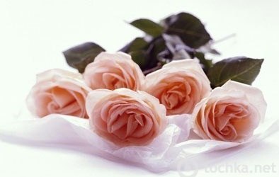 Богдан Чиж | Дубровица