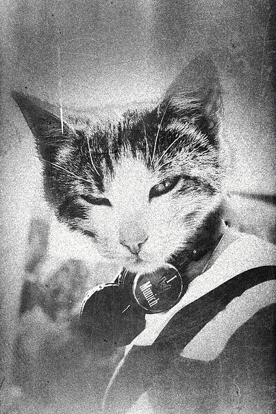 Витя Крохмаль | Полтава