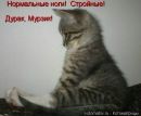 №7 Елена Рудина : профиль, фото, статус - ВКонтакте