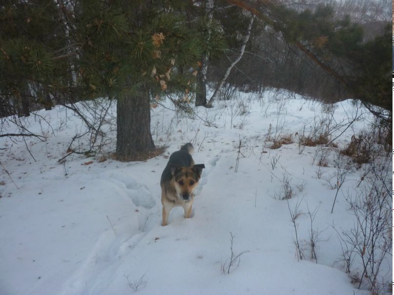 Александр Сухов 