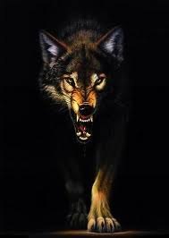 Софиан Альшорман | Irbid