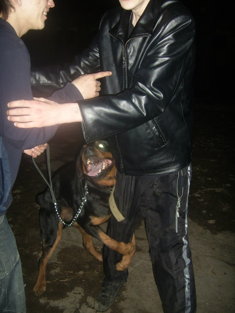 Стас Александров | Боровичи