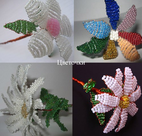 Ленчик Токарева | Запорожье