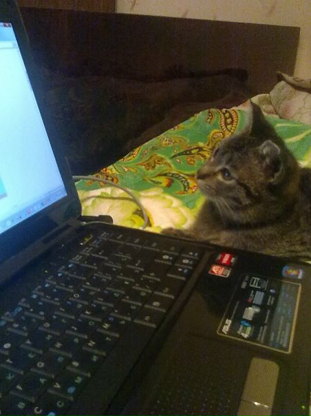 №86, Айгуль Абзалова, 35 лет, Уфа №86, Айгуль Абзалова, 35 лет, Уфа