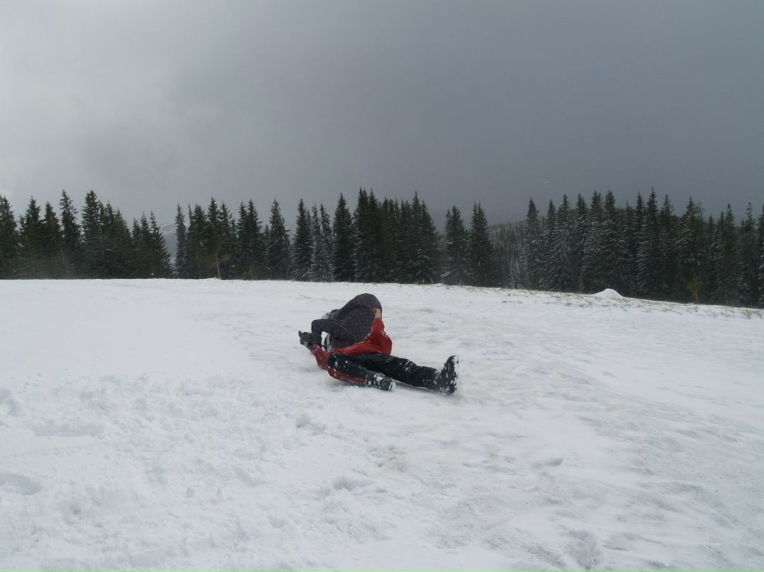 Марія Павловська-Лісогорська | Львов
