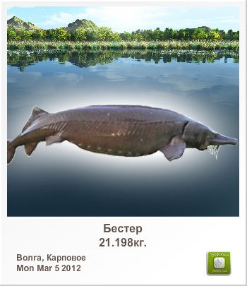 Леша Польгуй | Полтава