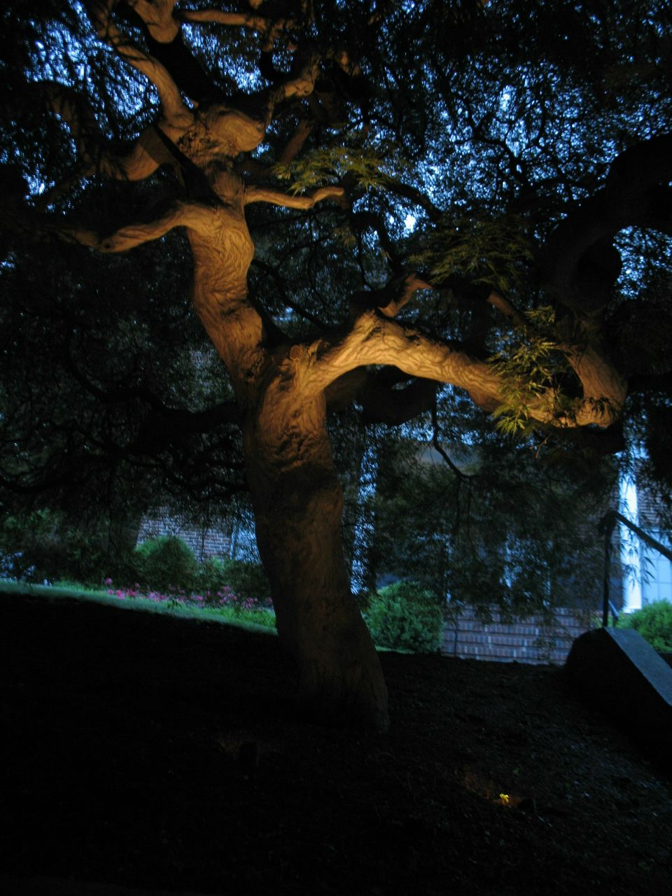 Дмитрий Баркан | Челябинск