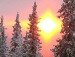 Игорь Лаптев | Херсон
