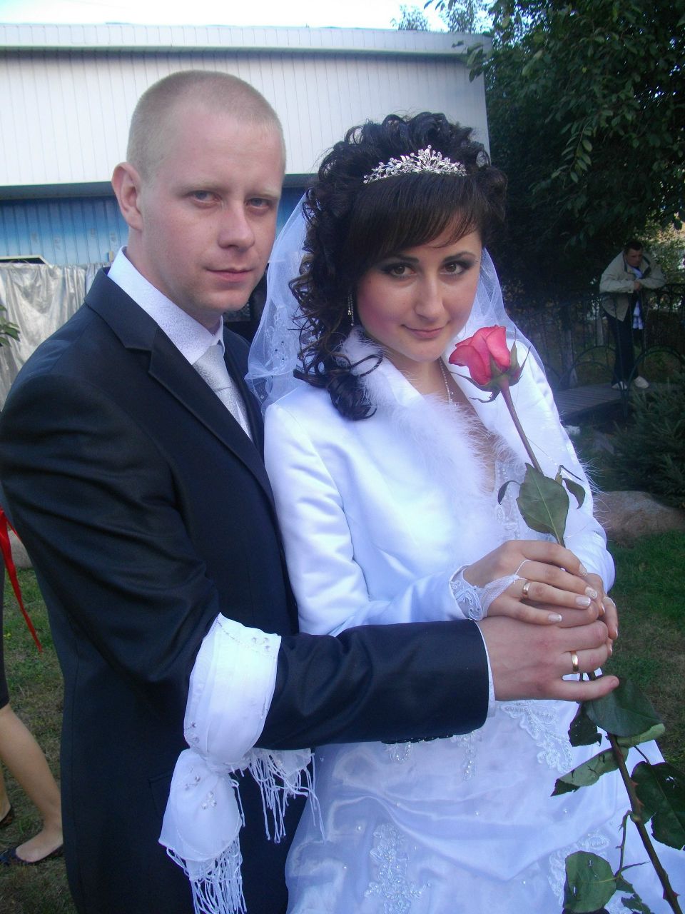 Ромашка Свитязь | Сквира