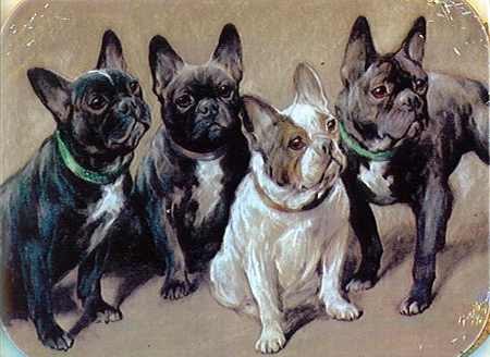 Денис Гончаров | Курахово