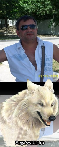 №15, Шамиль Хамидов №15, Шамиль Хамидов