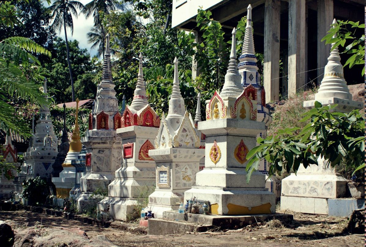 Яна Сидоркова | Алматы