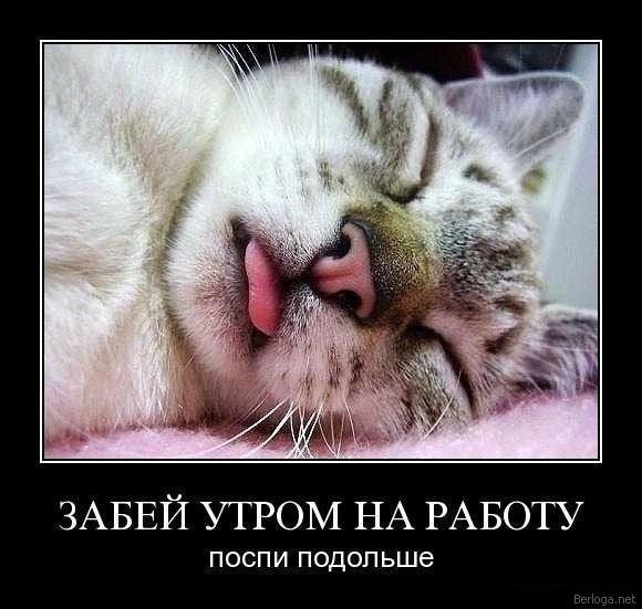 №147, Влад Скориков, 34 года, Киев №147, Влад Скориков, 34 года, Киев