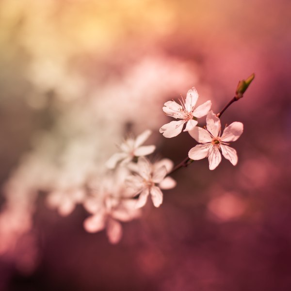 Василиса Кабакова | Екатеринбург