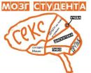 Фотография Моя Голова