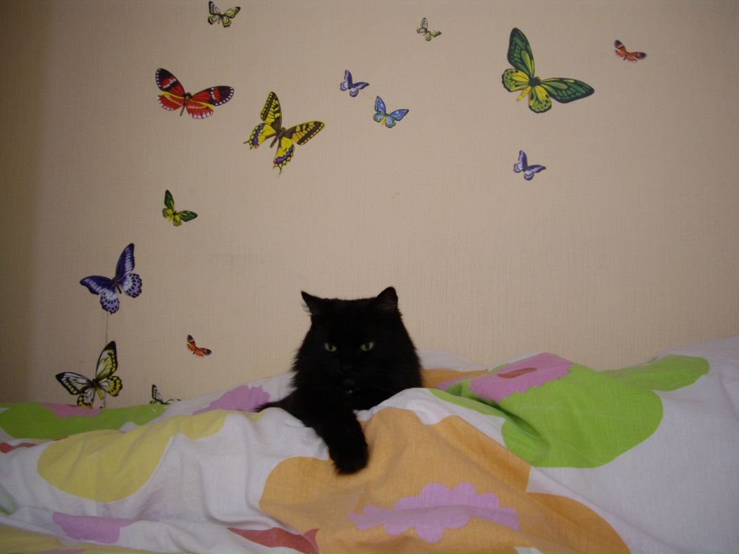 Анна Мягкова | Москва