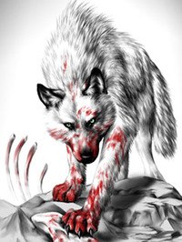 Алексей Панин | Санкт-Петербург